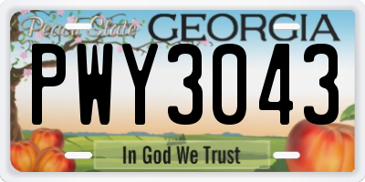 GA license plate PWY3043