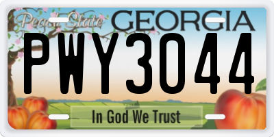 GA license plate PWY3044