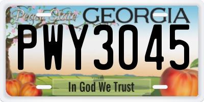 GA license plate PWY3045