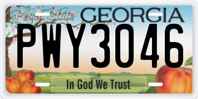 GA license plate PWY3046