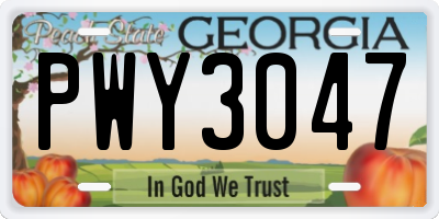 GA license plate PWY3047