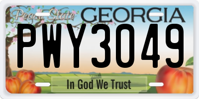 GA license plate PWY3049
