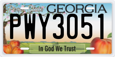 GA license plate PWY3051