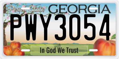 GA license plate PWY3054