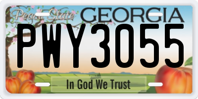 GA license plate PWY3055