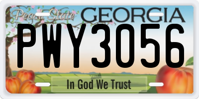 GA license plate PWY3056