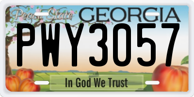 GA license plate PWY3057