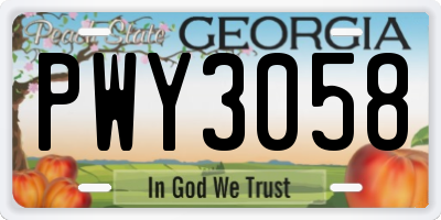 GA license plate PWY3058
