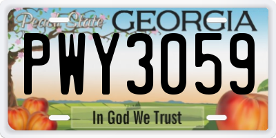 GA license plate PWY3059