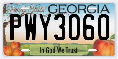 GA license plate PWY3060