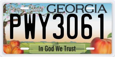 GA license plate PWY3061
