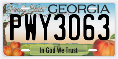 GA license plate PWY3063