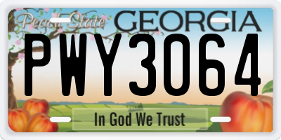 GA license plate PWY3064