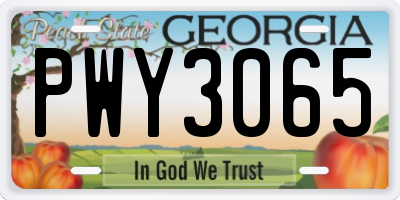 GA license plate PWY3065