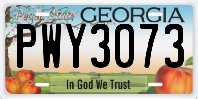 GA license plate PWY3073