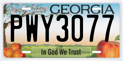GA license plate PWY3077