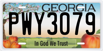 GA license plate PWY3079