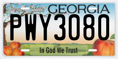 GA license plate PWY3080