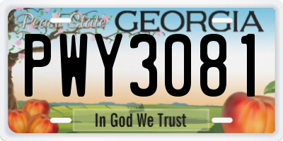 GA license plate PWY3081
