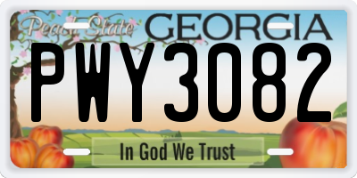 GA license plate PWY3082