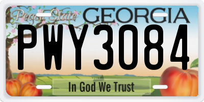 GA license plate PWY3084