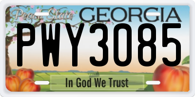 GA license plate PWY3085