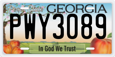 GA license plate PWY3089