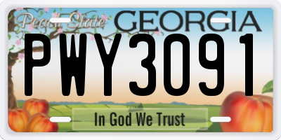 GA license plate PWY3091