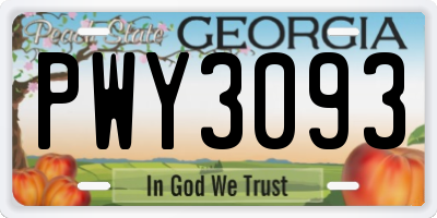 GA license plate PWY3093