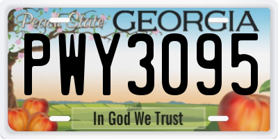 GA license plate PWY3095