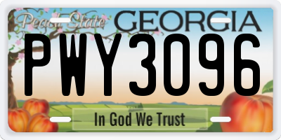 GA license plate PWY3096