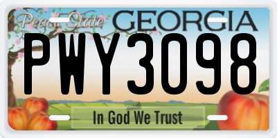 GA license plate PWY3098