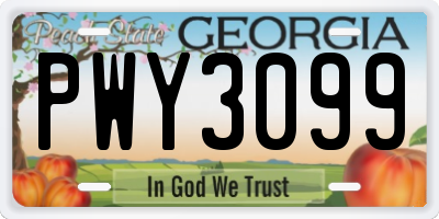 GA license plate PWY3099