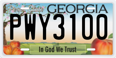 GA license plate PWY3100