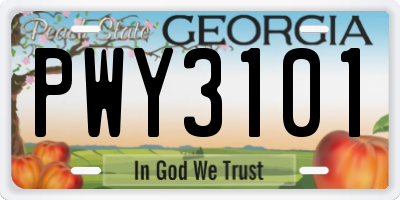 GA license plate PWY3101
