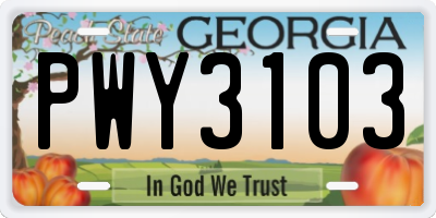GA license plate PWY3103