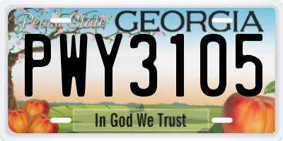 GA license plate PWY3105