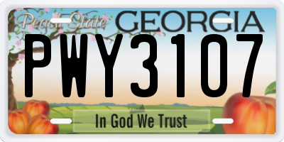 GA license plate PWY3107