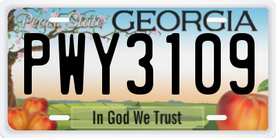 GA license plate PWY3109