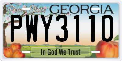 GA license plate PWY3110