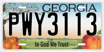 GA license plate PWY3113