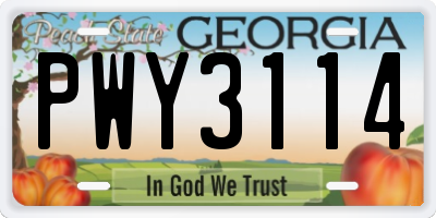 GA license plate PWY3114