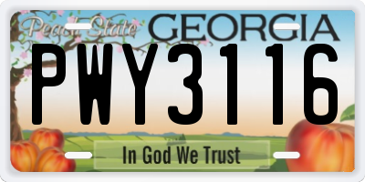 GA license plate PWY3116