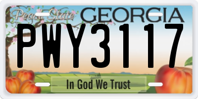 GA license plate PWY3117