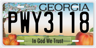 GA license plate PWY3118