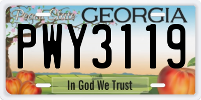 GA license plate PWY3119