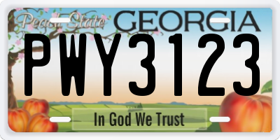 GA license plate PWY3123