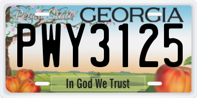 GA license plate PWY3125
