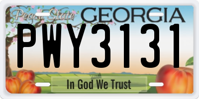 GA license plate PWY3131