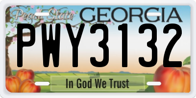 GA license plate PWY3132